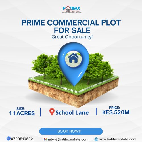 Prime Commercial Plot – School Lane, Westlands