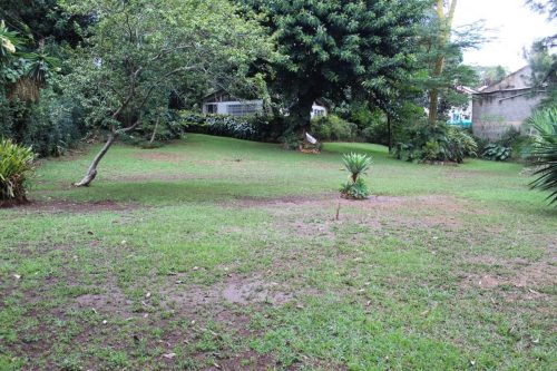 Shanzu Road Plot