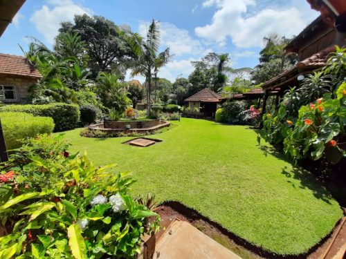Beautiful and Spacious 5 bedroom - Spring Valley