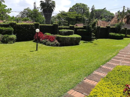 Beautiful and Spacious 5 bedroom - Spring Valley