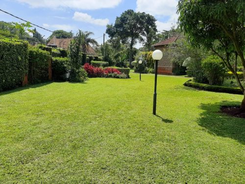 Beautiful and Spacious 5 bedroom - Spring Valley