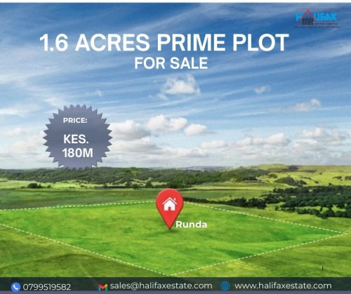 1.6 Acres Prime Plot - Runda